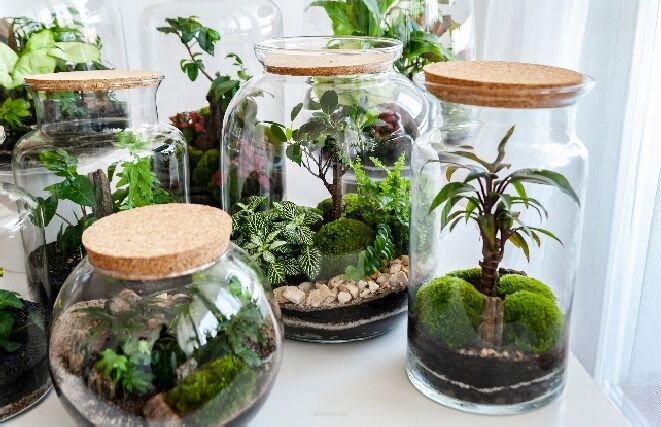 Korkové zátky pro zahrady ve sklenicích